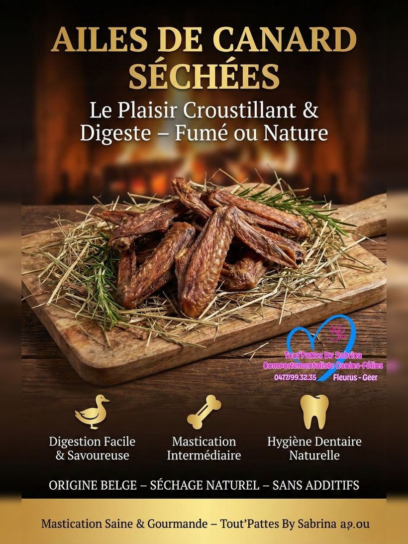 Ailes de Canard Séchées