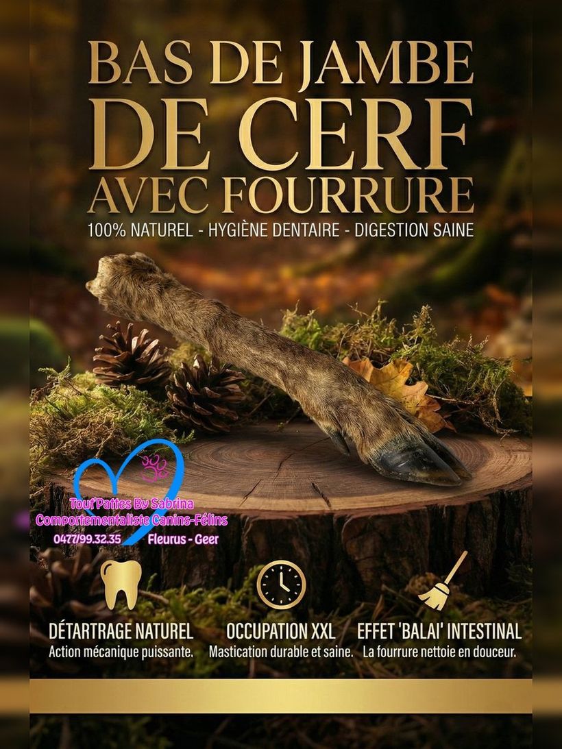 Bas de Jambe de Cerf