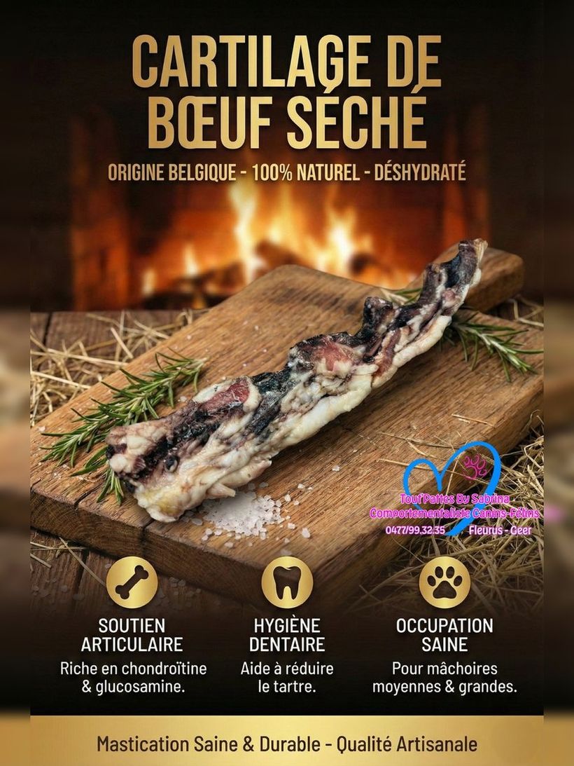 Cartilage de Boeuf Séché