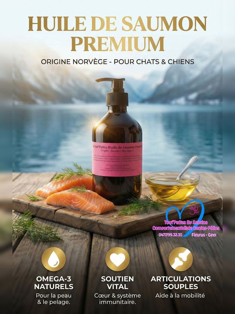 Huile de Saumon Premium