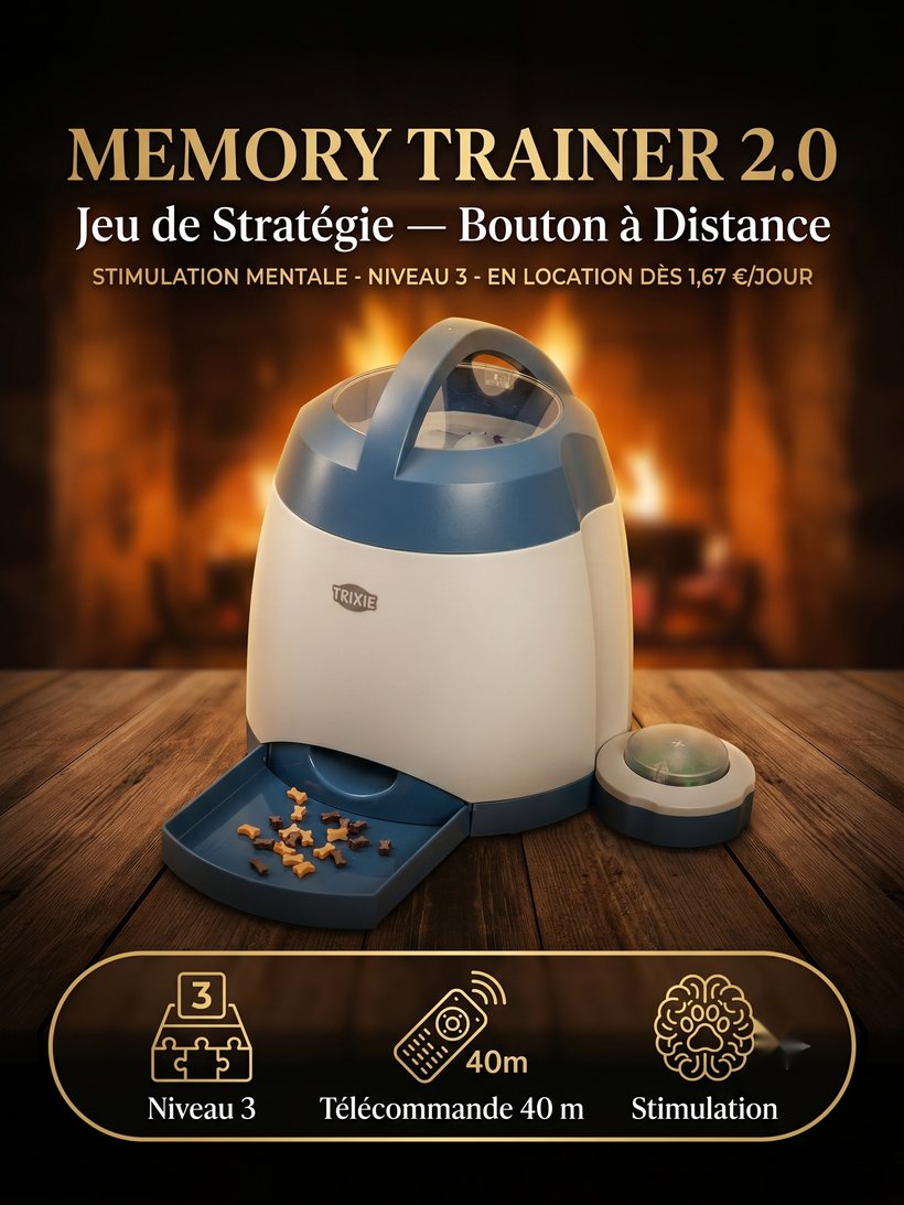 Memory Trainer 2.0 — Jeu de Stratégie (Location)