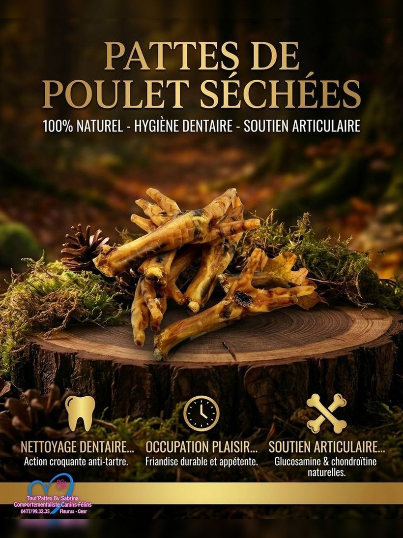 Pattes de Poulet Séchées