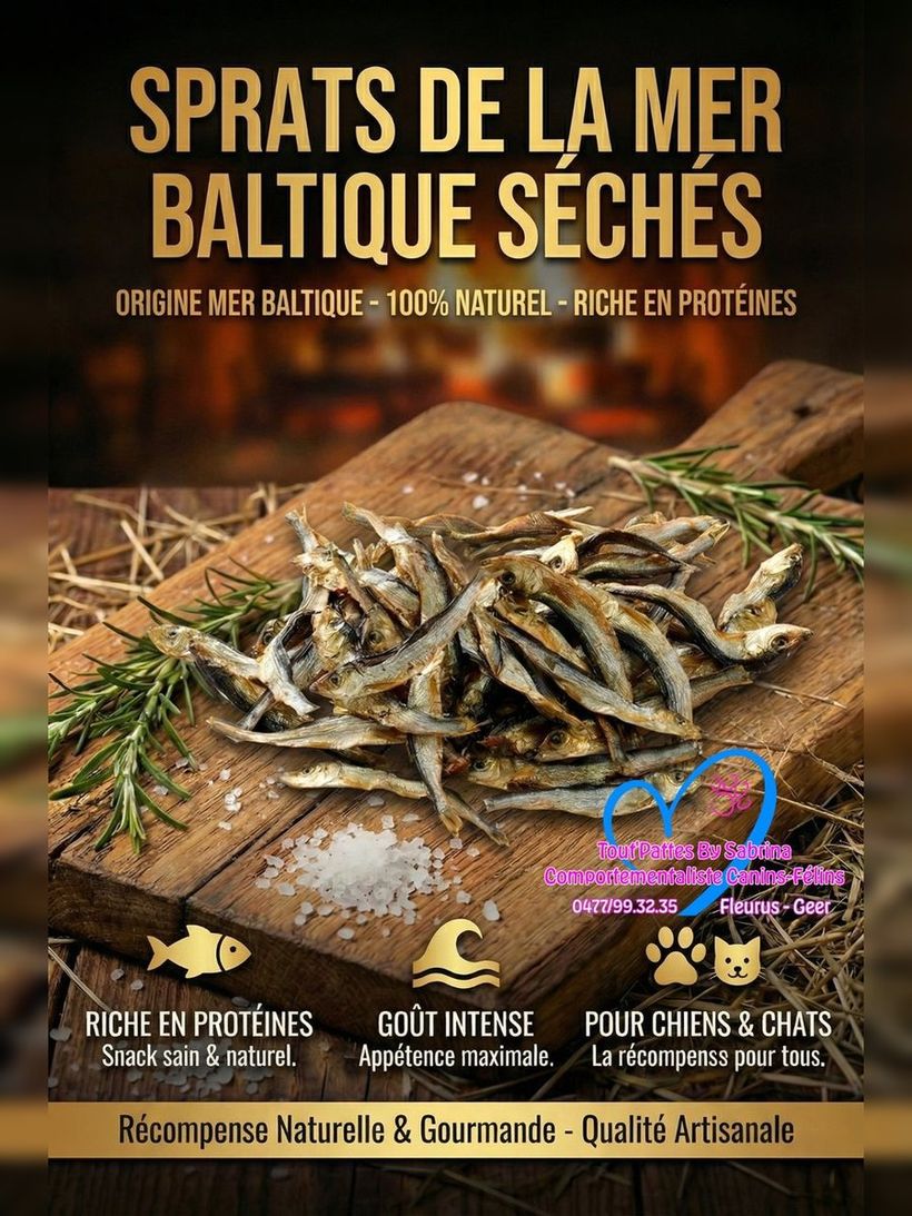 Sprats de la Mer Baltique Séchés
