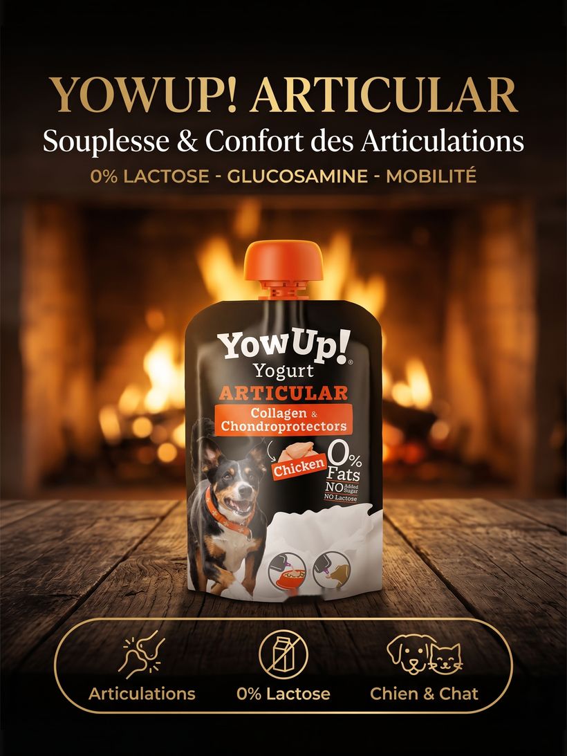 YowUp! Yaourt Articular — Articulations