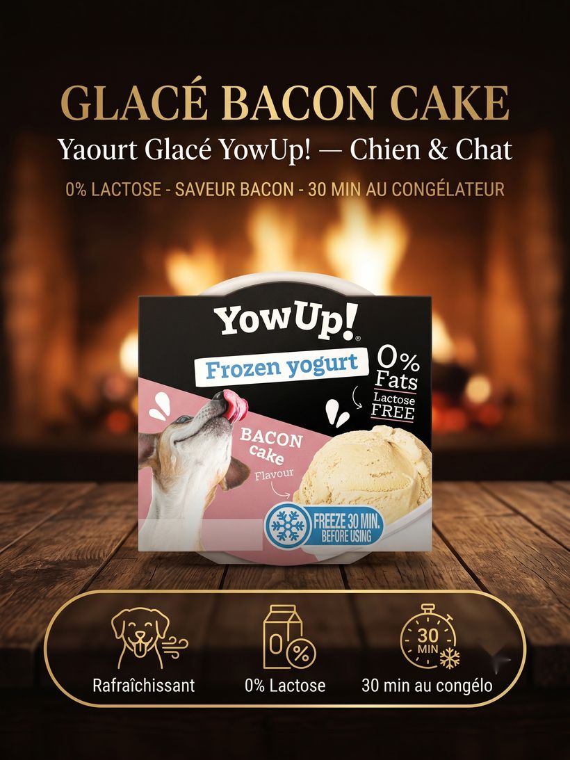 YowUp! Yaourt Glacé — Bacon Cake