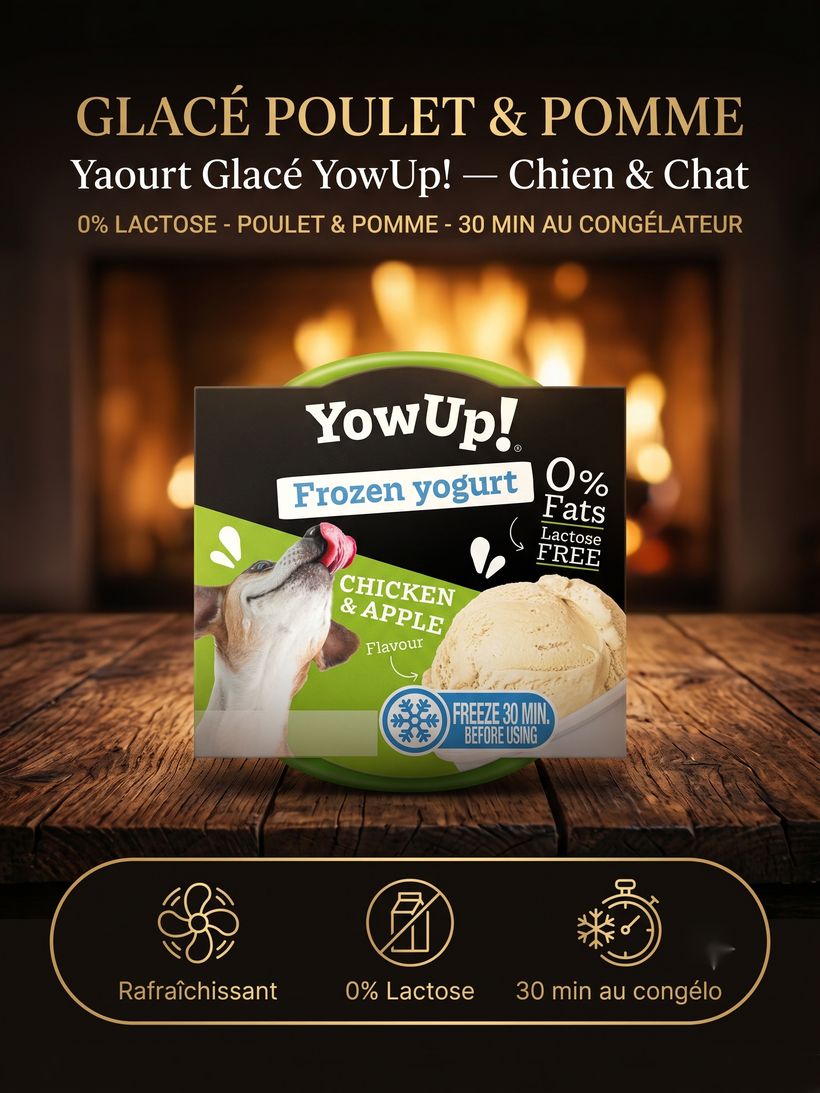 YowUp! Yaourt Glacé — Poulet & Pomme