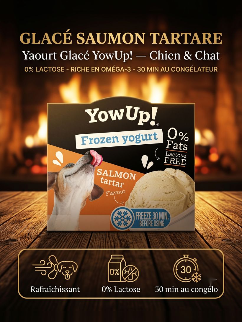 YowUp! Yaourt Glacé — Saumon Tartare