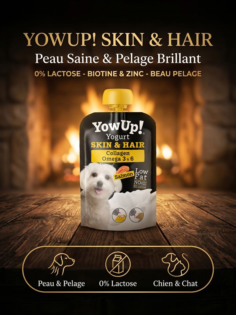 YowUp! Yaourt Skin & Hair — Peau & Pelage